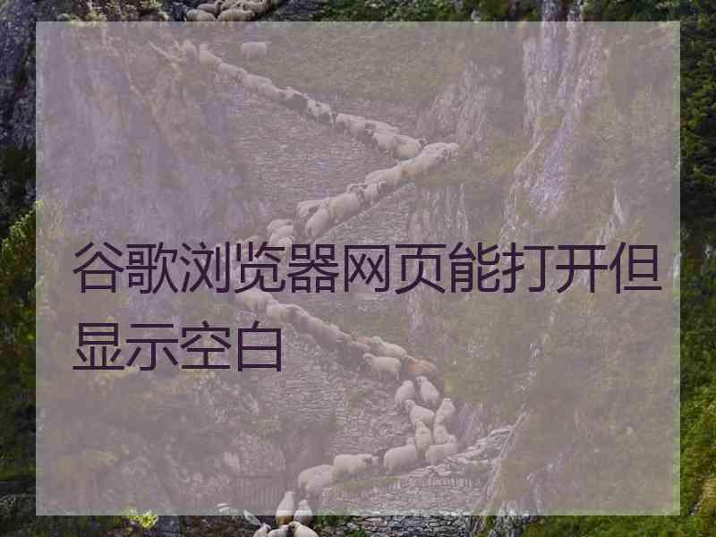 谷歌浏览器网页能打开但显示空白