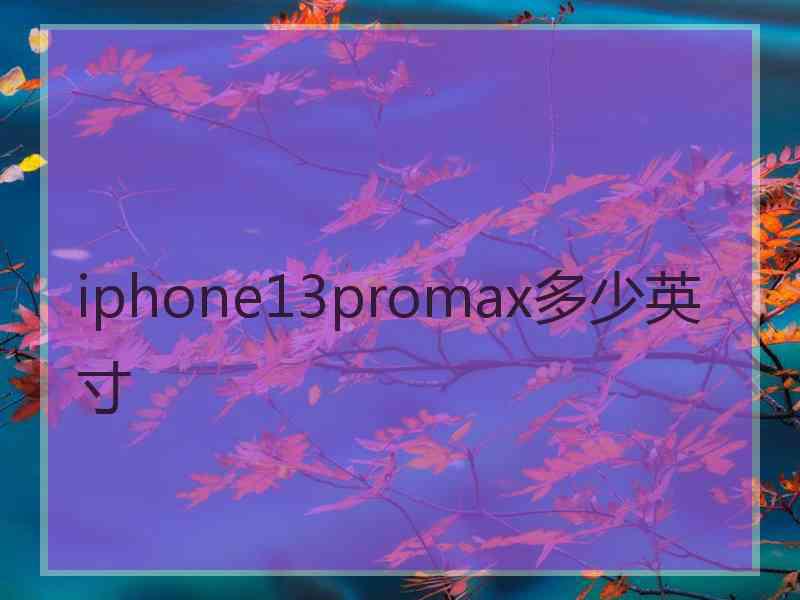 iphone13promax多少英寸