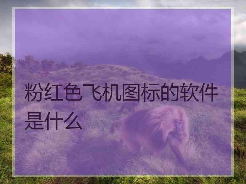 粉红色飞机图标的软件是什么