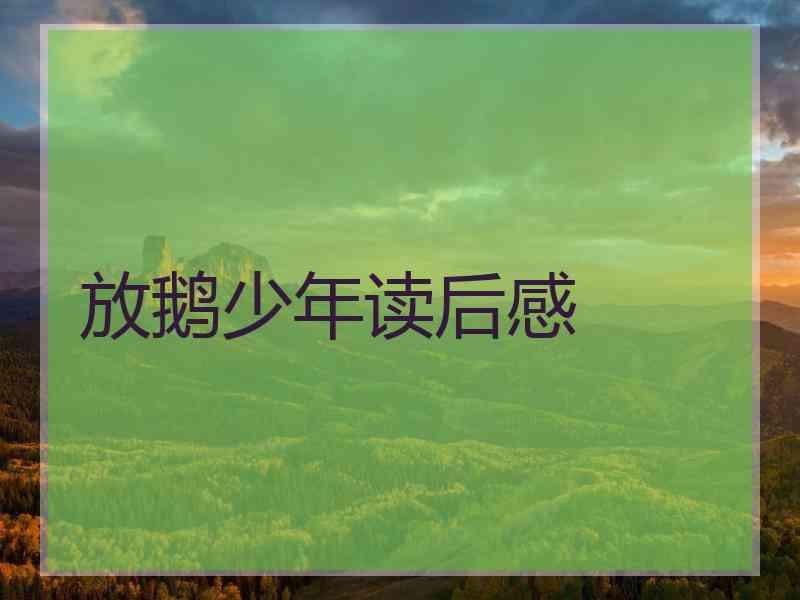 放鹅少年读后感