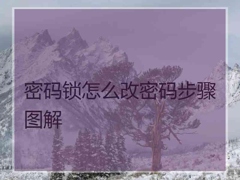 密码锁怎么改密码步骤图解