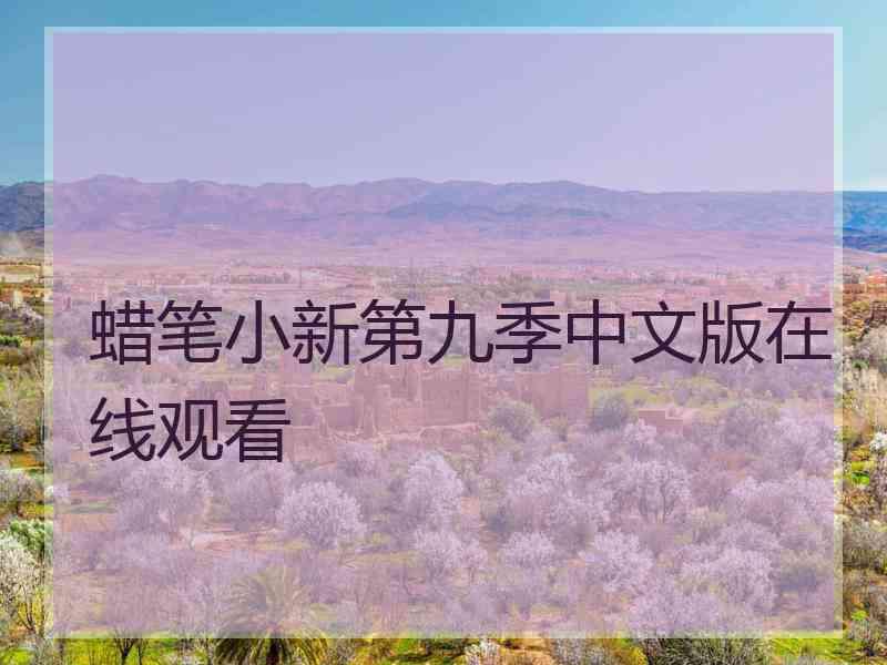 蜡笔小新第九季中文版在线观看
