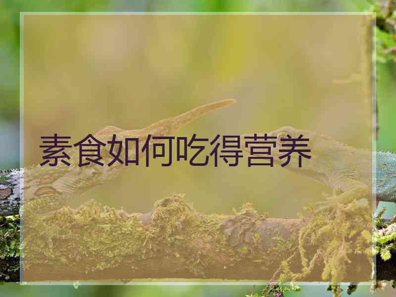 素食如何吃得营养