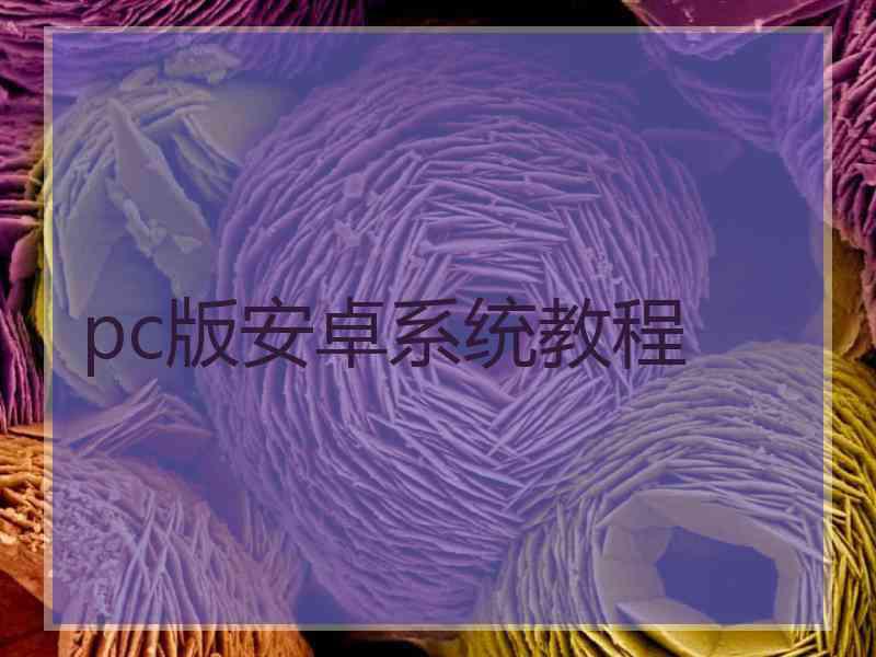 pc版安卓系统教程