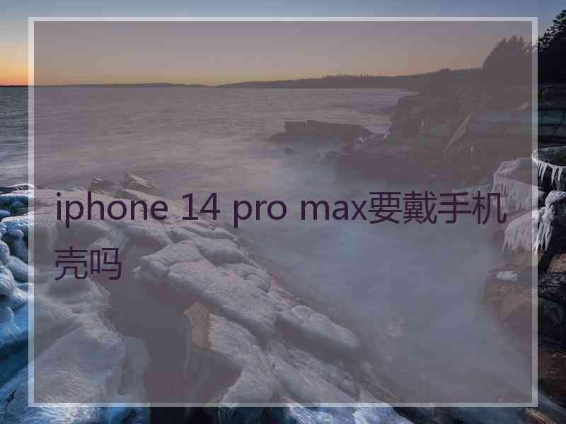 iphone 14 pro max要戴手机壳吗