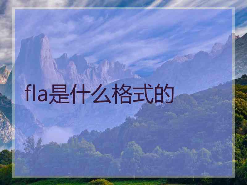 fla是什么格式的