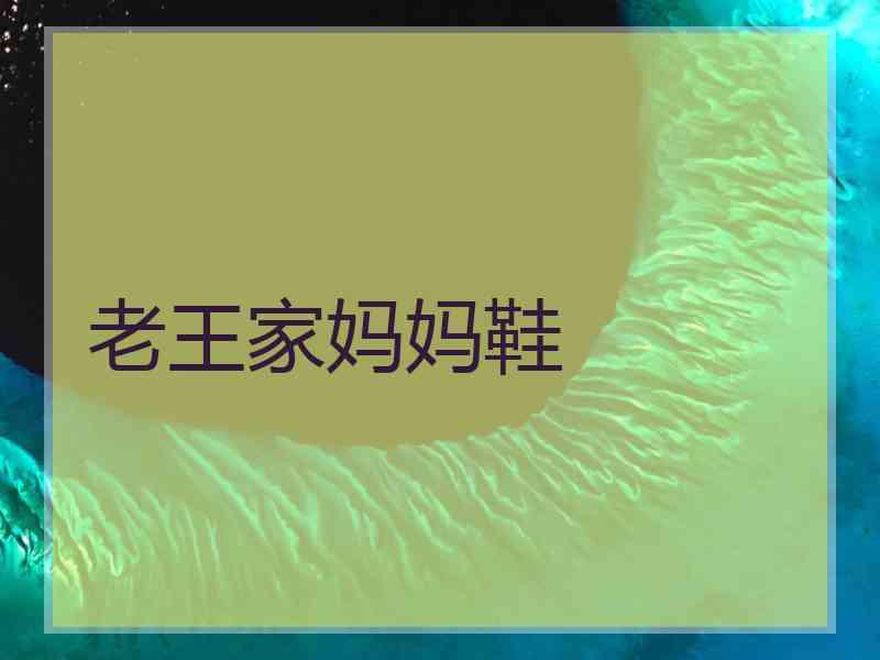 老王家妈妈鞋