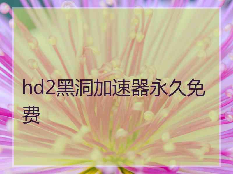 hd2黑洞加速器永久免费