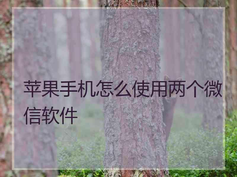 苹果手机怎么使用两个微信软件
