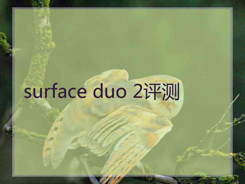 surface duo 2评测