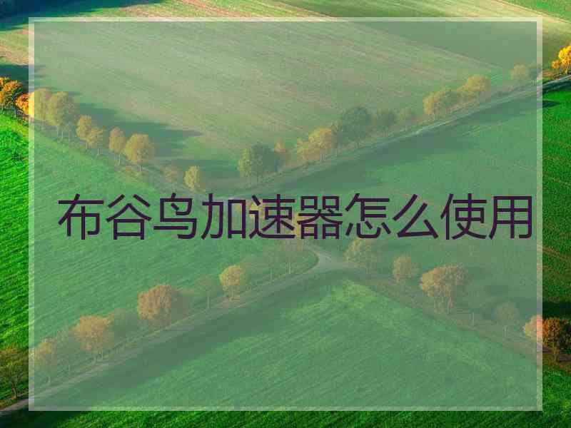 布谷鸟加速器怎么使用
