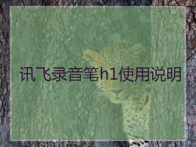 讯飞录音笔h1使用说明