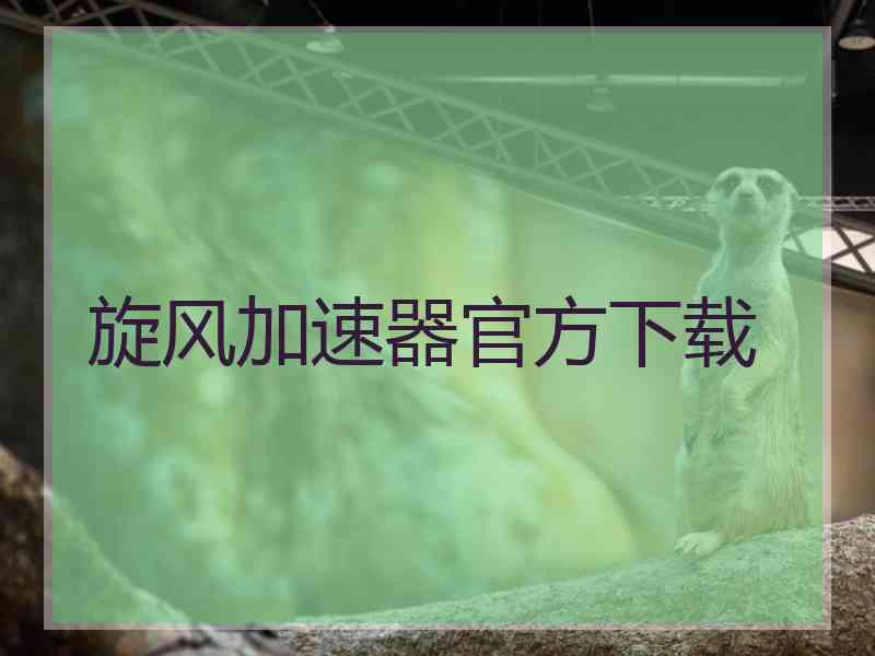 旋风加速器官方下载