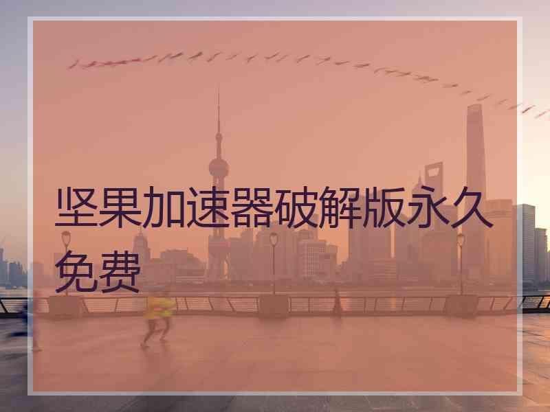 坚果加速器破解版永久免费