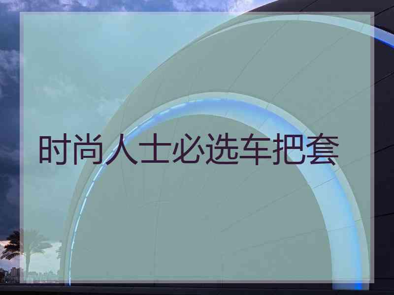 时尚人士必选车把套