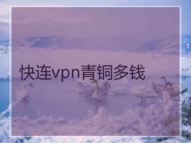 快连vpn青铜多钱