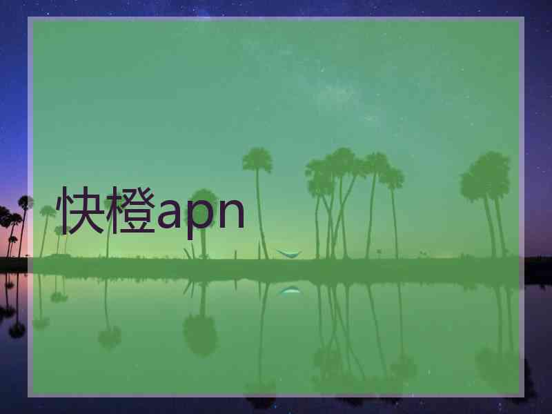 快橙apn