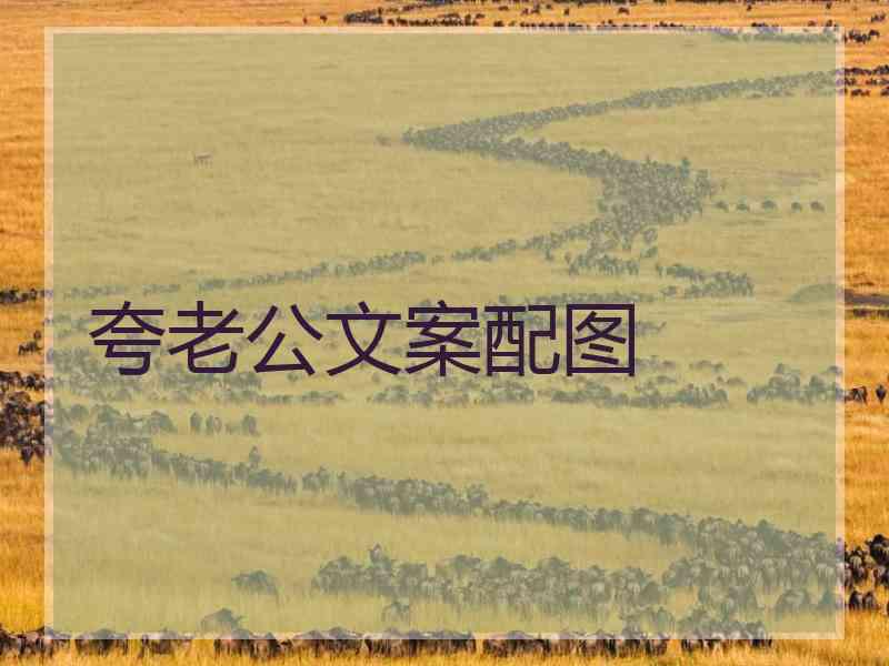 夸老公文案配图
