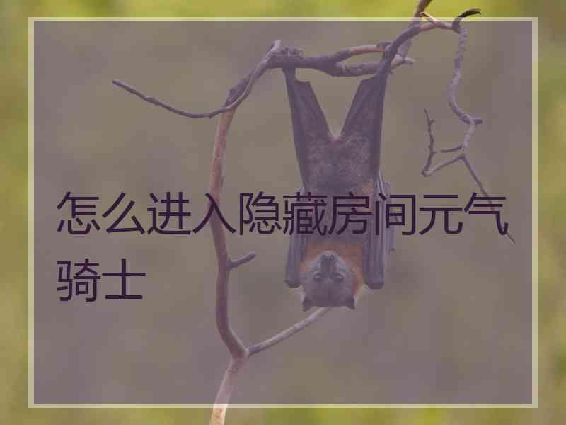 怎么进入隐藏房间元气骑士