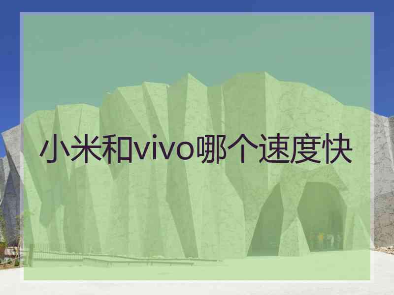 小米和vivo哪个速度快
