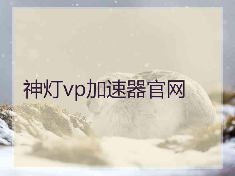 神灯vp加速器官网