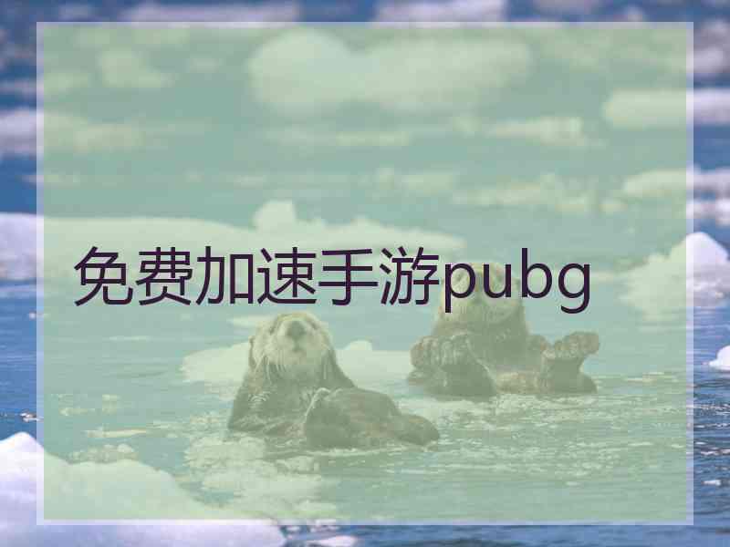 免费加速手游pubg