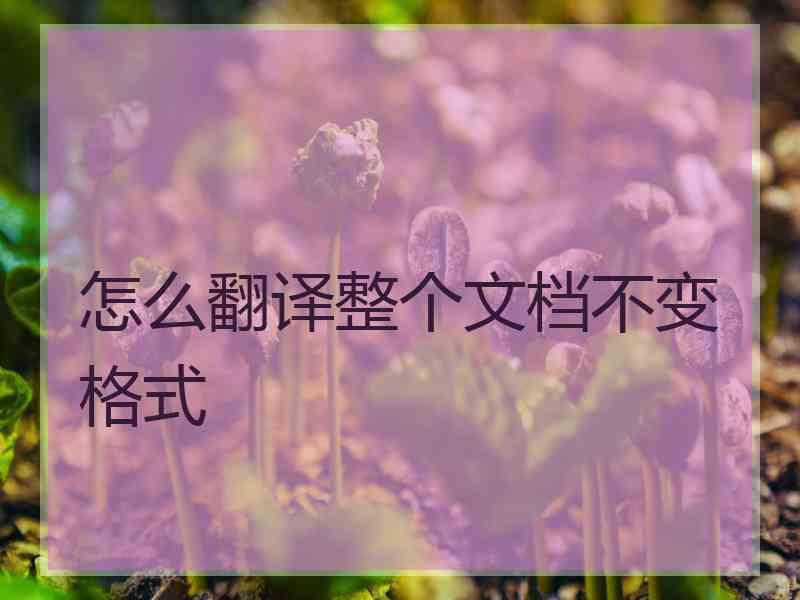 怎么翻译整个文档不变格式
