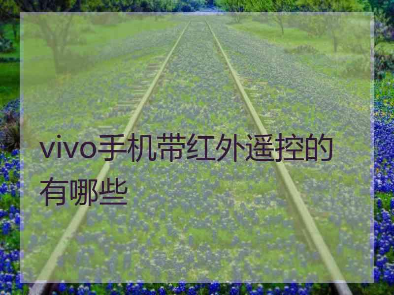 vivo手机带红外遥控的有哪些