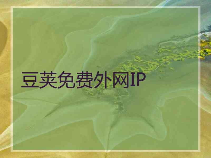 豆荚免费外网IP