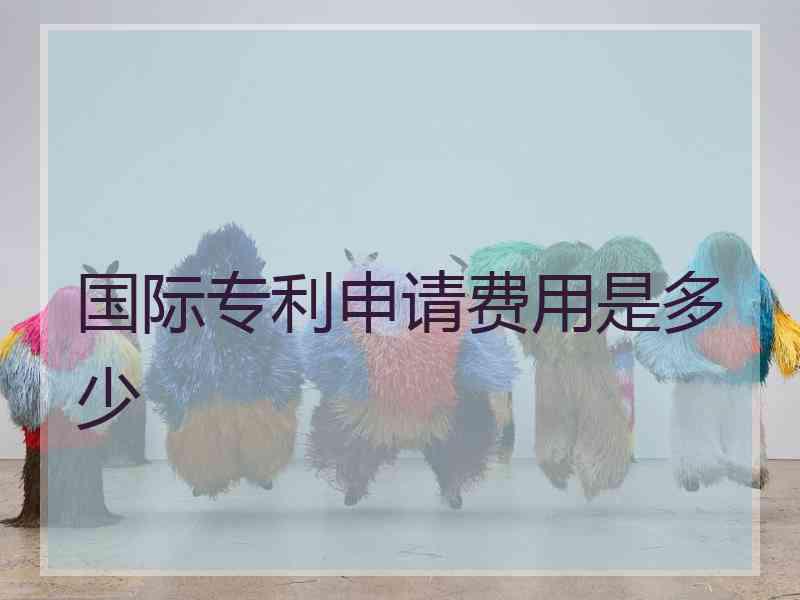 国际专利申请费用是多少