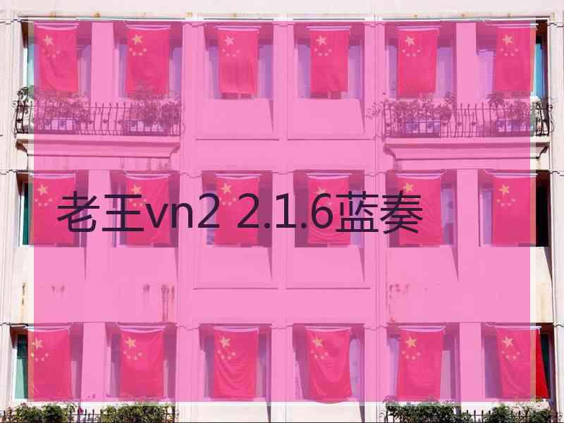 老王vn2 2.1.6蓝奏
