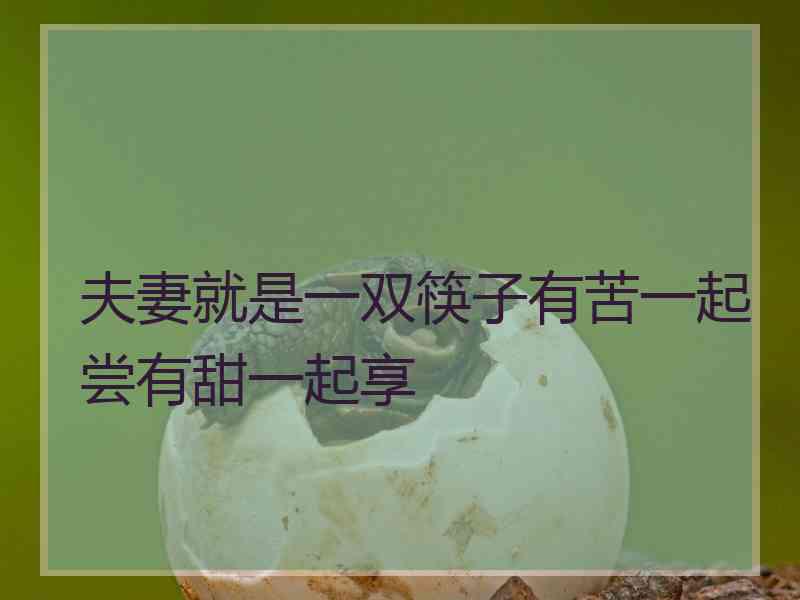 夫妻就是一双筷子有苦一起尝有甜一起享