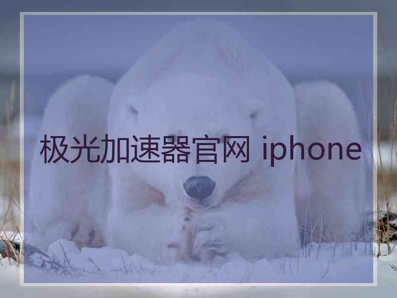 极光加速器官网 iphone