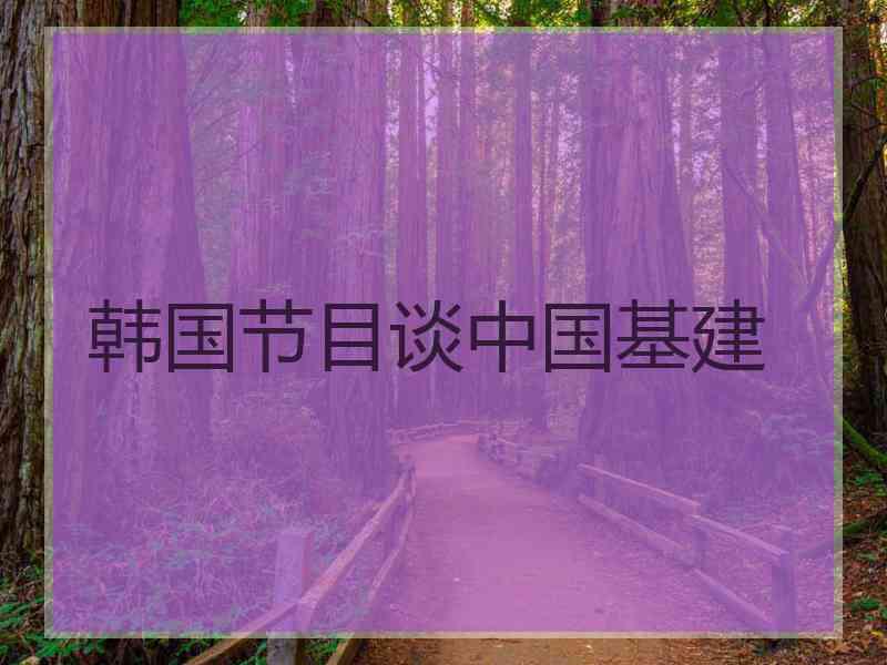 韩国节目谈中国基建