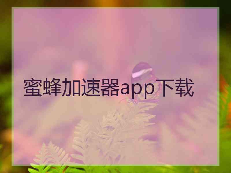 蜜蜂加速器app下载