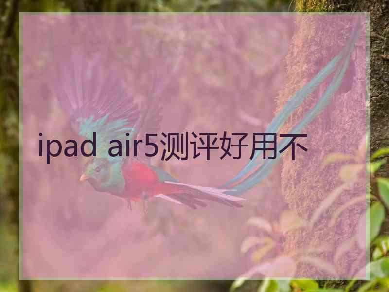 ipad air5测评好用不