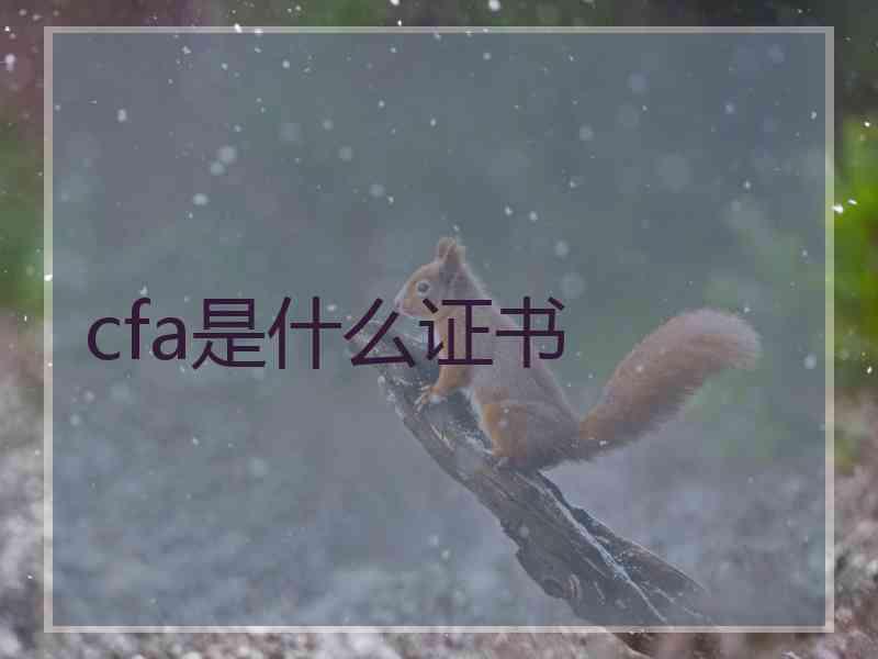 cfa是什么证书