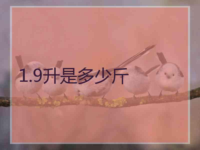 1.9升是多少斤