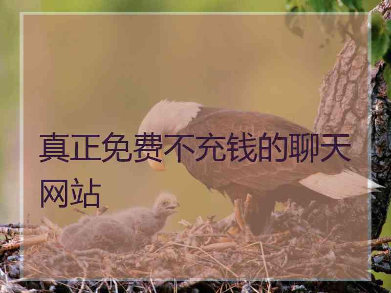 真正免费不充钱的聊天网站