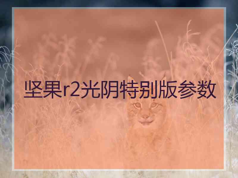 坚果r2光阴特别版参数