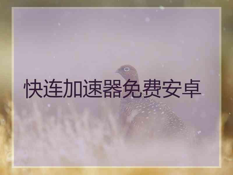 快连加速器免费安卓