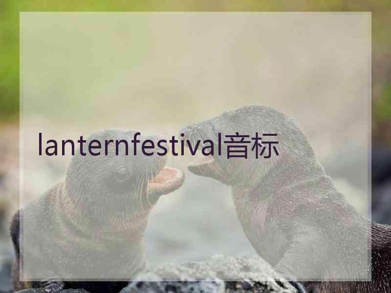 lanternfestival音标