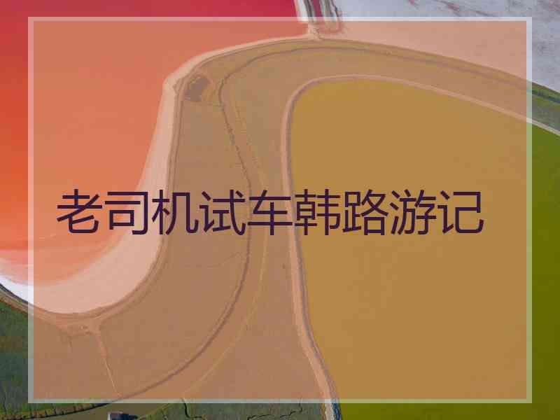 老司机试车韩路游记