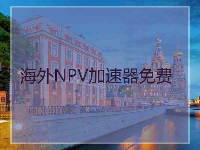 海外NPV加速器免费