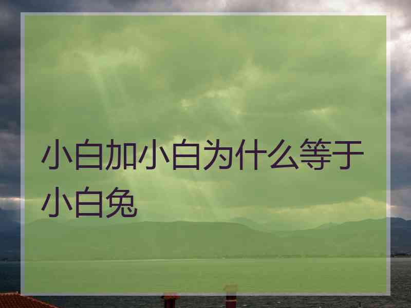小白加小白为什么等于小白兔