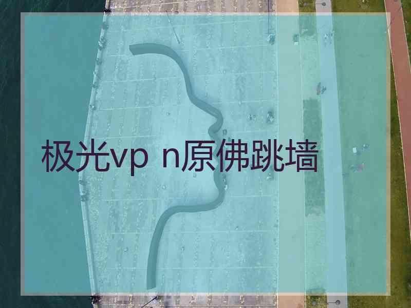 极光vp n原佛跳墙