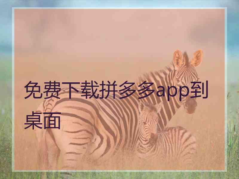 免费下载拼多多app到桌面