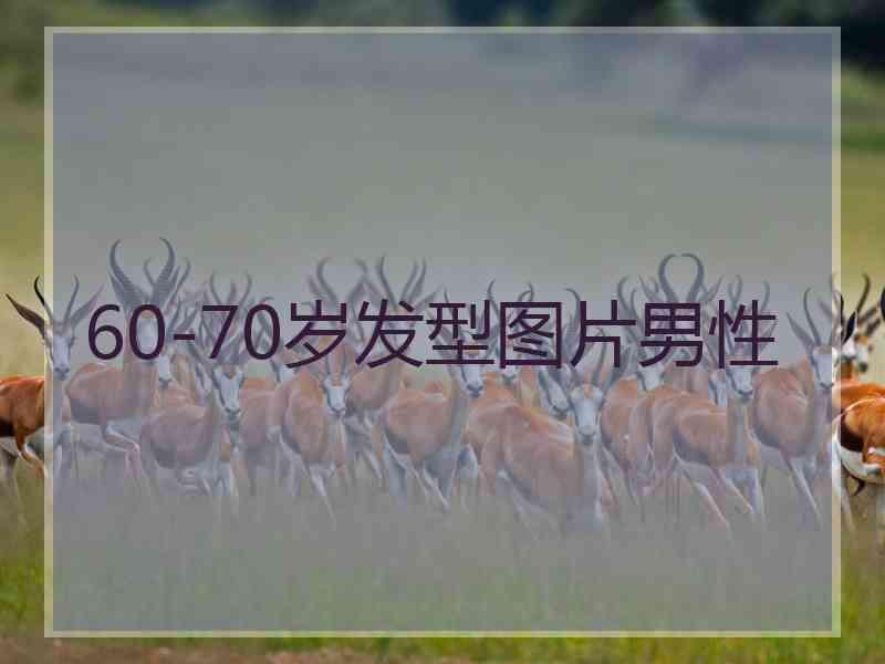 60-70岁发型图片男性