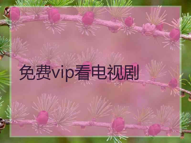 免费vip看电视剧