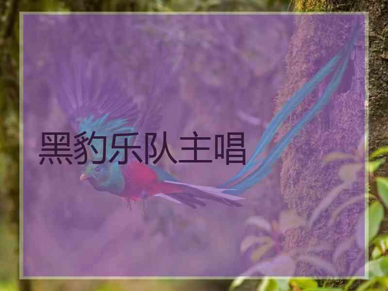 黑豹乐队主唱